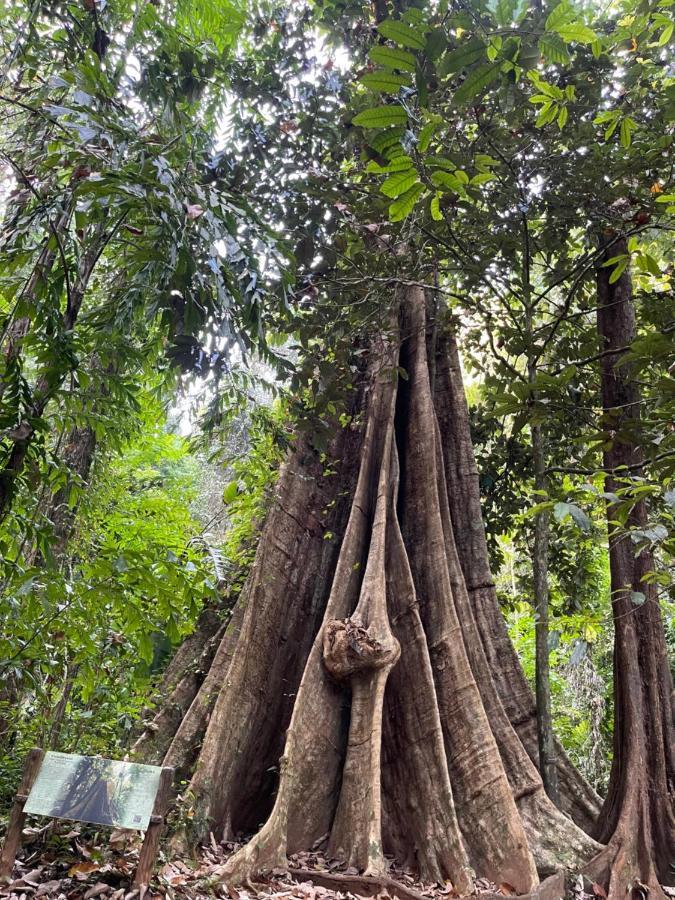 Hunny Home Ko Yao Noi Eksteriør bilde